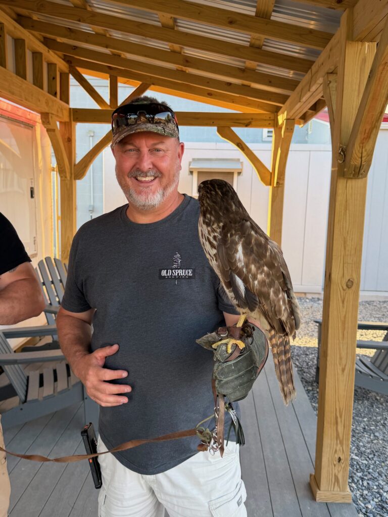 Husband holding Red Tailed Hawk which is staring at him.