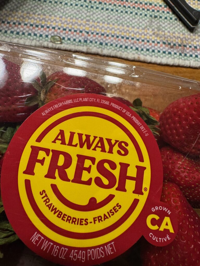 Plant City, FL Strawberries
