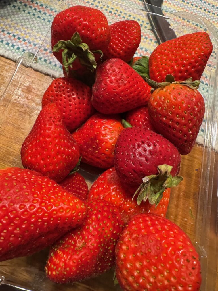 Plant City fresh strawberries
