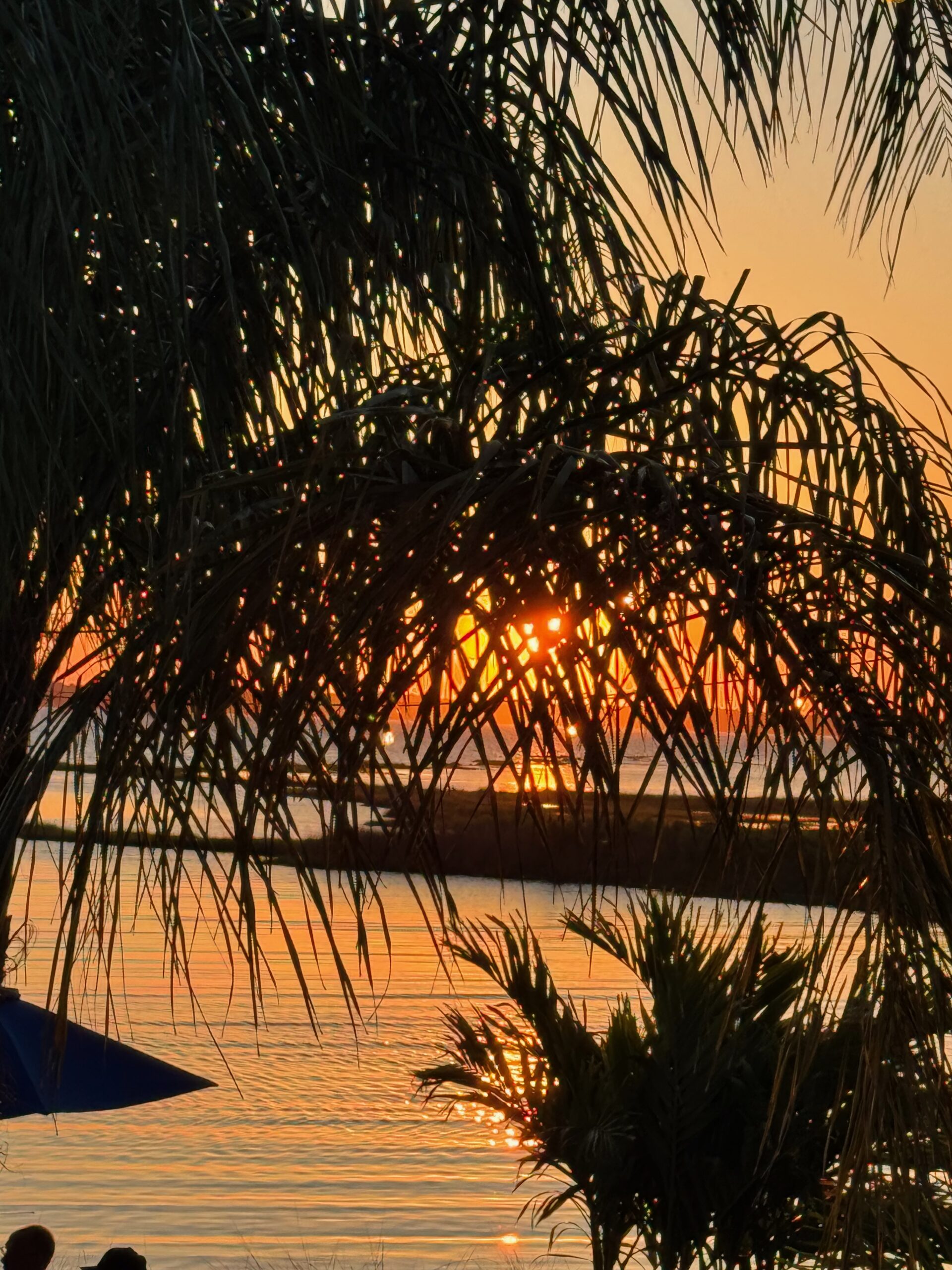 Almost down. View through the palm trees @ Saltwater 75.